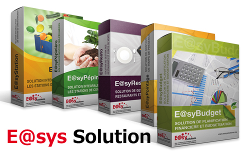 E@SY SOLUTIONS