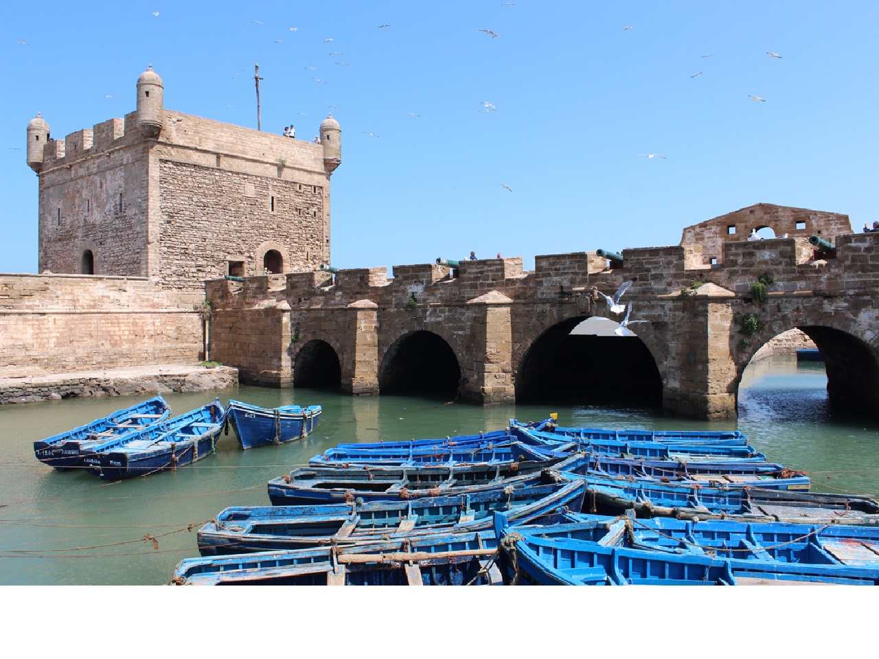 Essaouira excursion depuis Agadir 