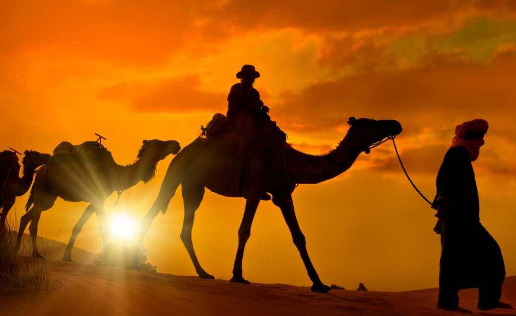 Unforgettable Adventures: 5 Must-Do Activities on a Journey from Marrakech to the Sahara Desert