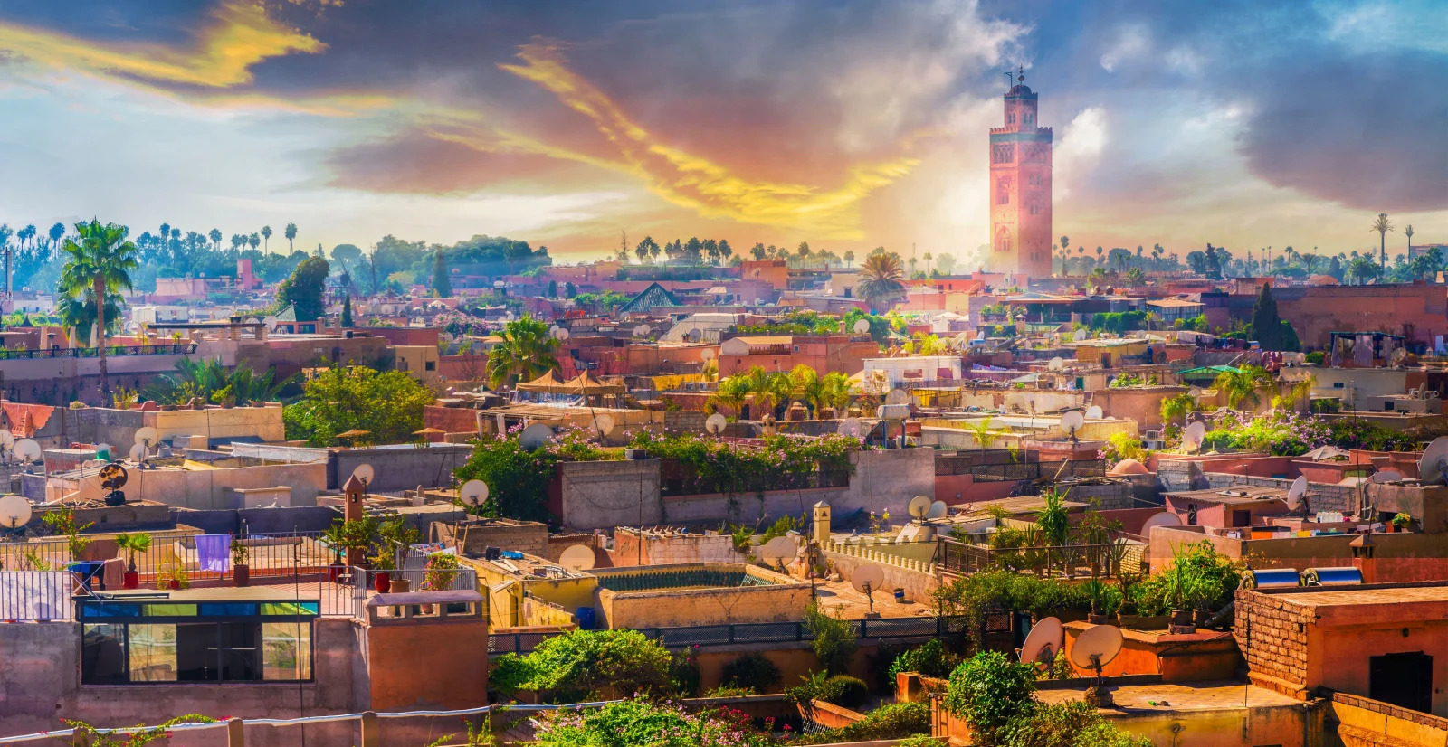 Marrakech Excursion: A Complete Guide to the Red City