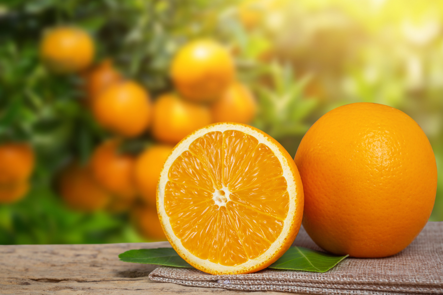 Comment Prolonger la Fraîcheur de Vos Oranges : Astuces Simples pour une Meilleure Conservation à la Maison