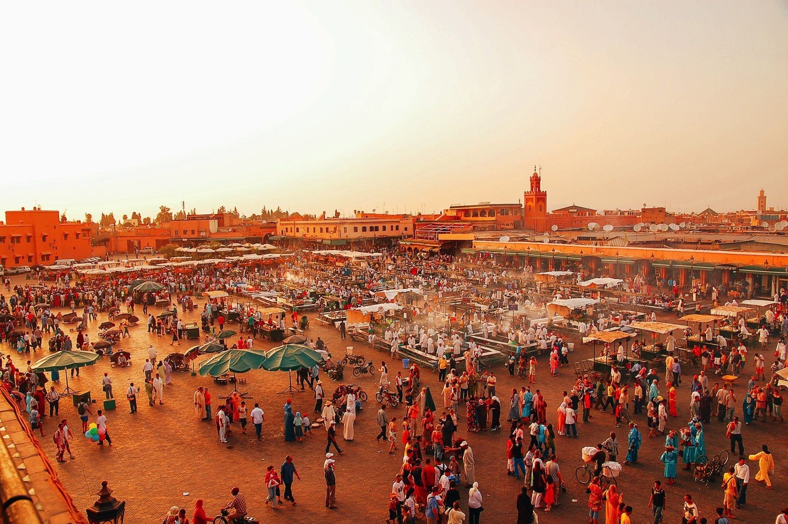 morocco trippers